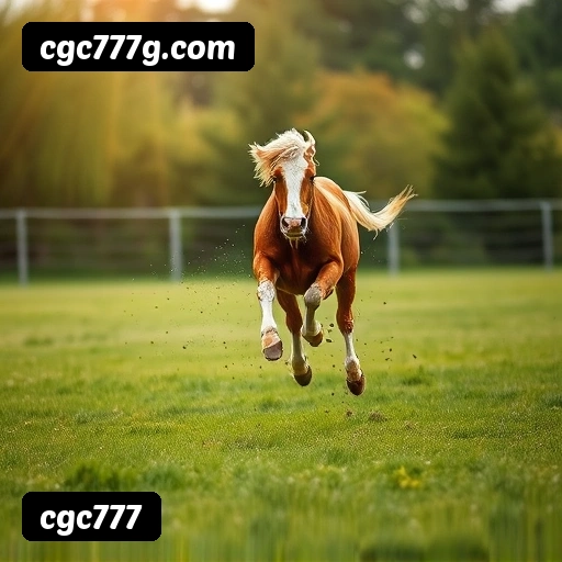 Principais provedores de slots da cgc777 - NetEnt, Pragmatic Play, Play'n GO